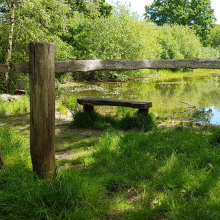 Halfpenny pond