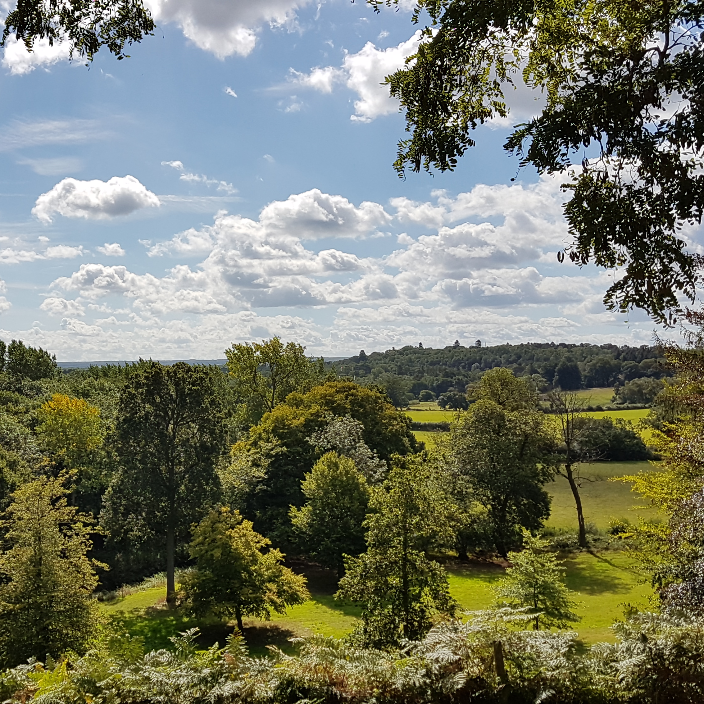 Painshill view