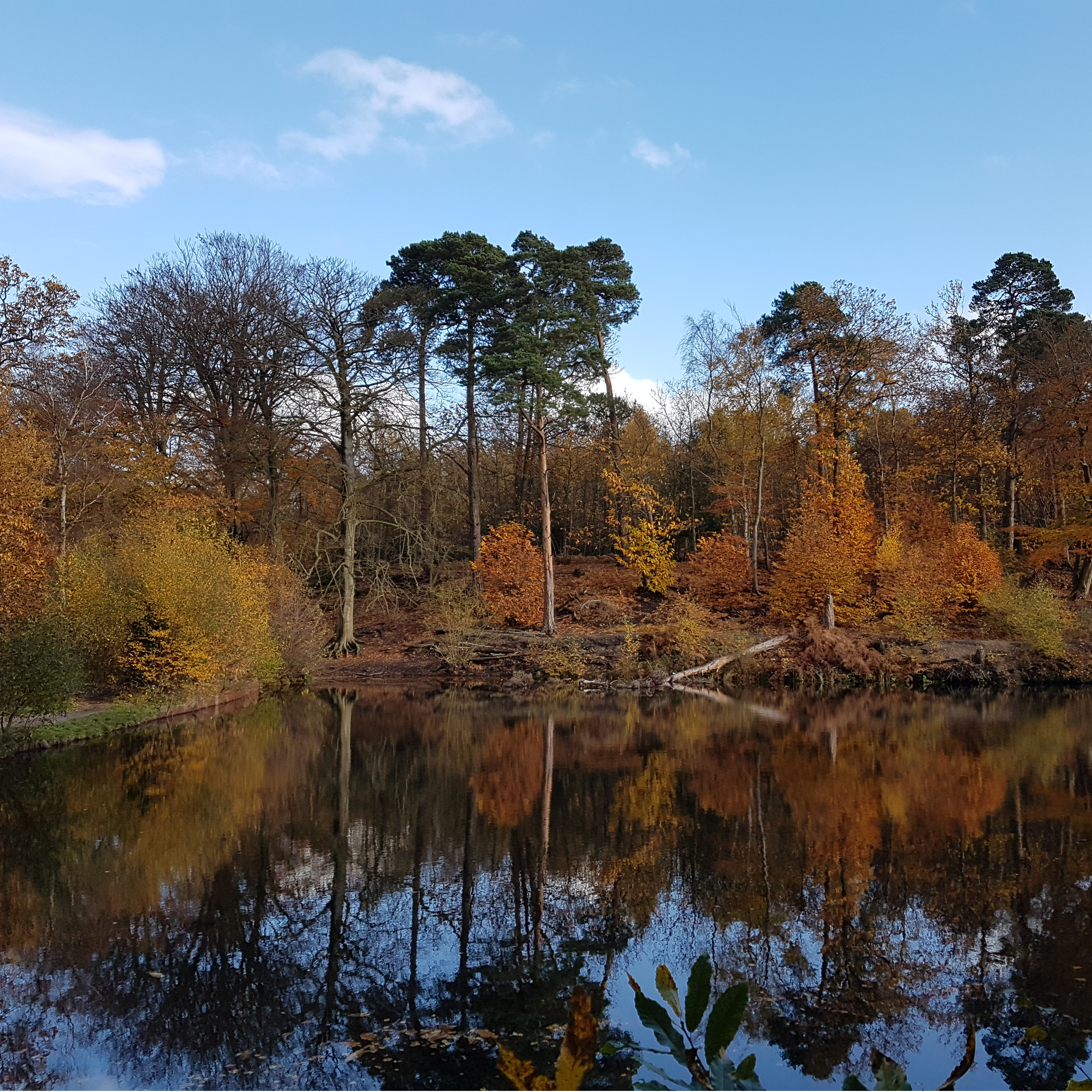 Autumn Middle pond